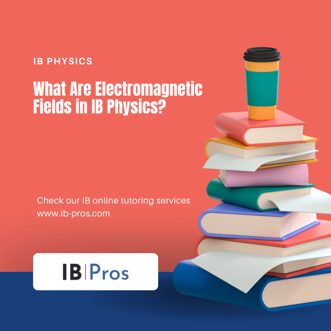 What Are Electromagnetic Fields in IB Physics?